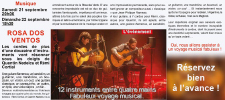 Les cordes de plus d’une douzaine d’instruments vont résonner sous les doigts de Quentin Nedelcu et Rémi Cortial